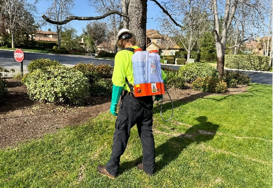 Fall Fertilization and Pest Management: Why It Matters