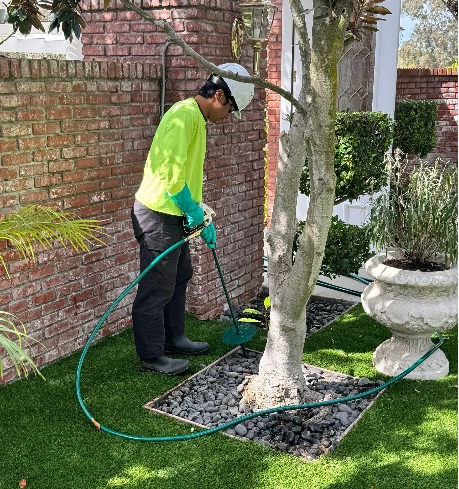 The Role of Microbes in Tree Health: A Vital Connection
