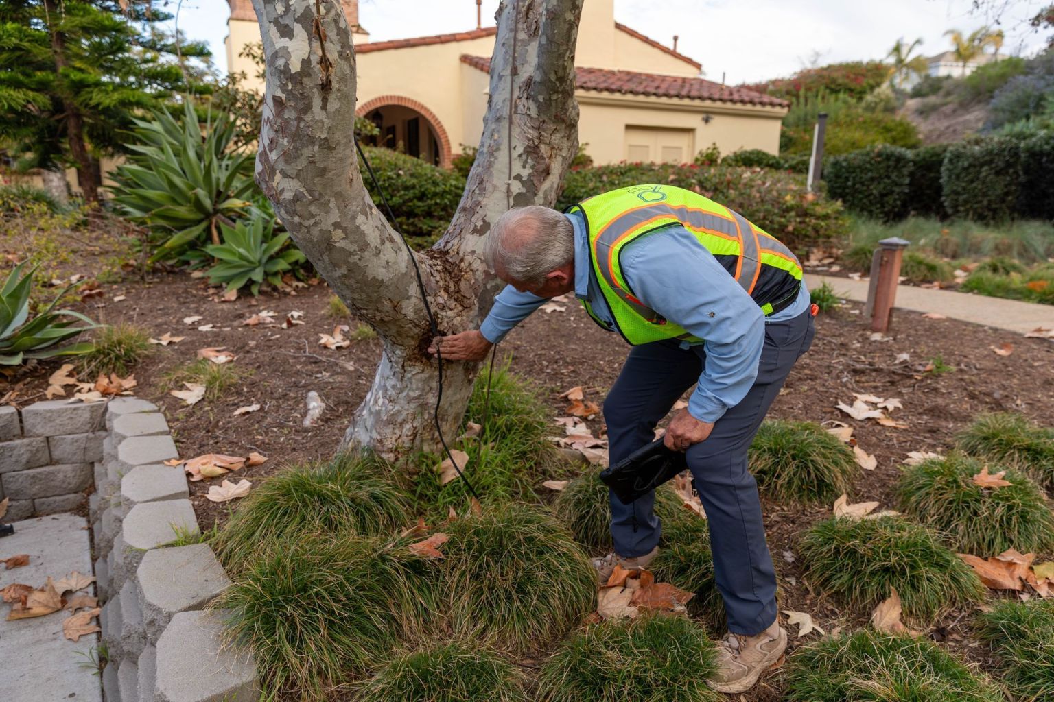 Arborist Reports Explained: When Do You Need One?