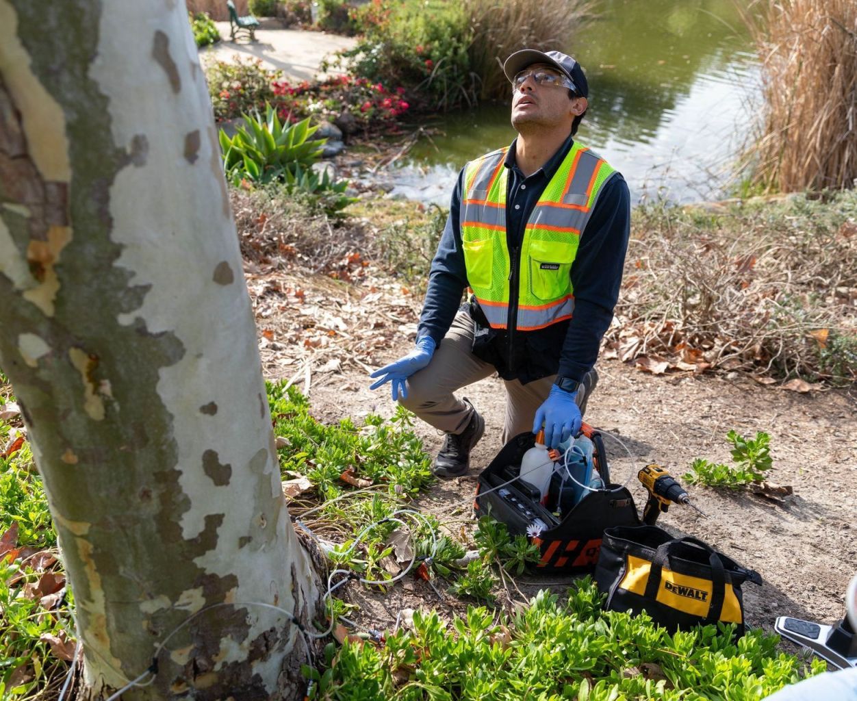 When Should You Hire a Consulting Arborist?