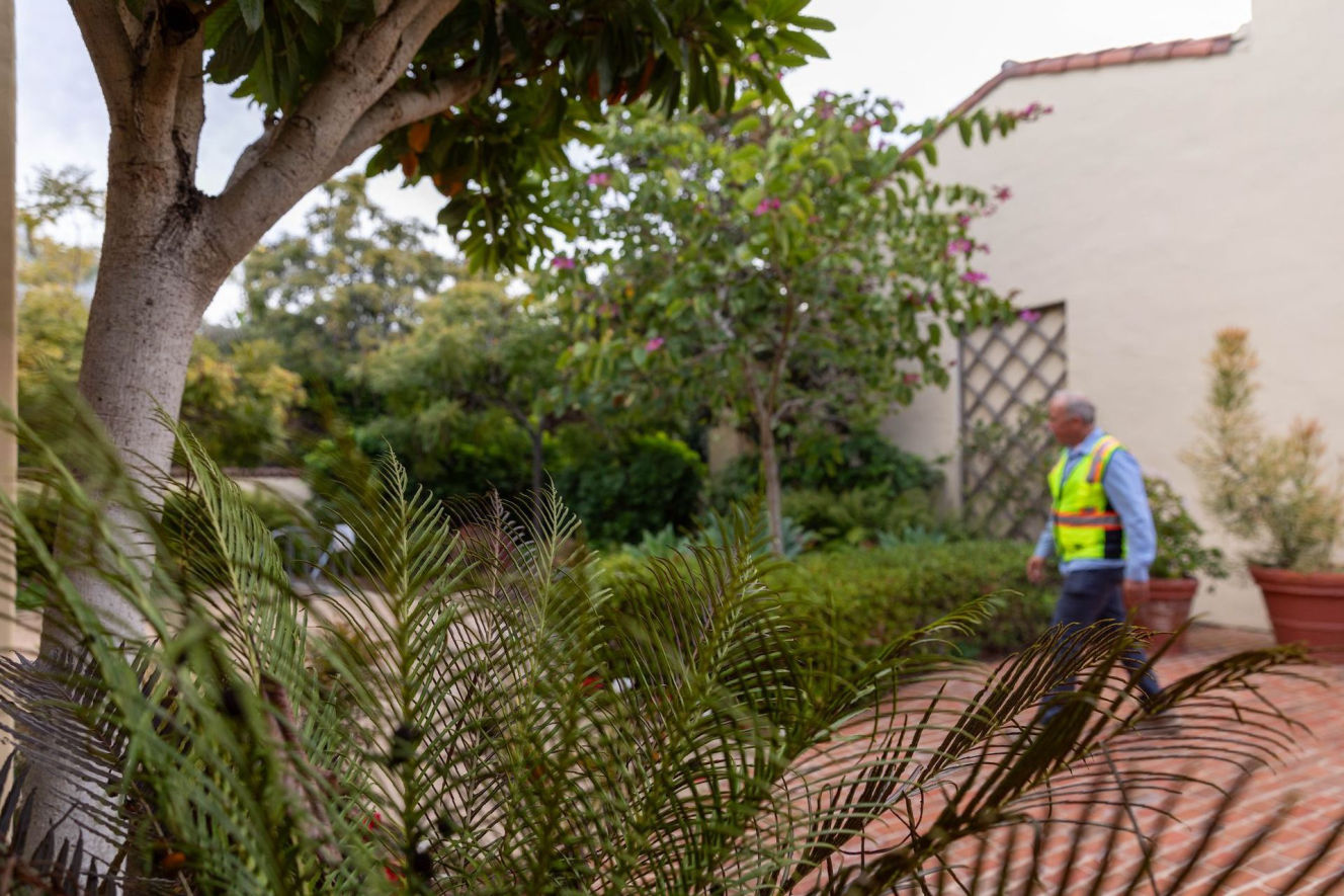 Arborist services in Southern California